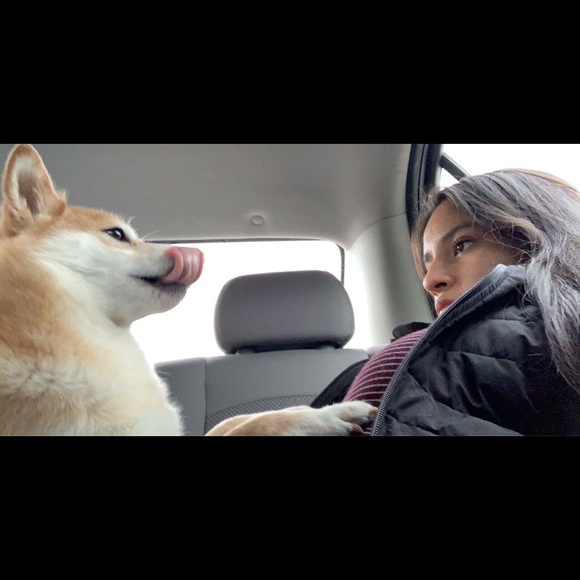 Meet your Posher, Ruth - Picture 4 of 5